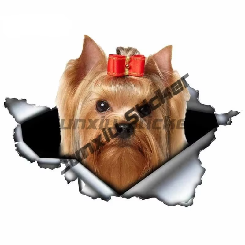 Chihuahua Anne vinil yapışkan  - Laptop Accessories Brand incelemesi ve fiyatı