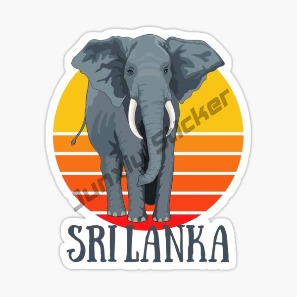 Moda araba Sticker Sri Lanka b - Laptop Accessories Sri Lanka incelemesi ve fiyatı